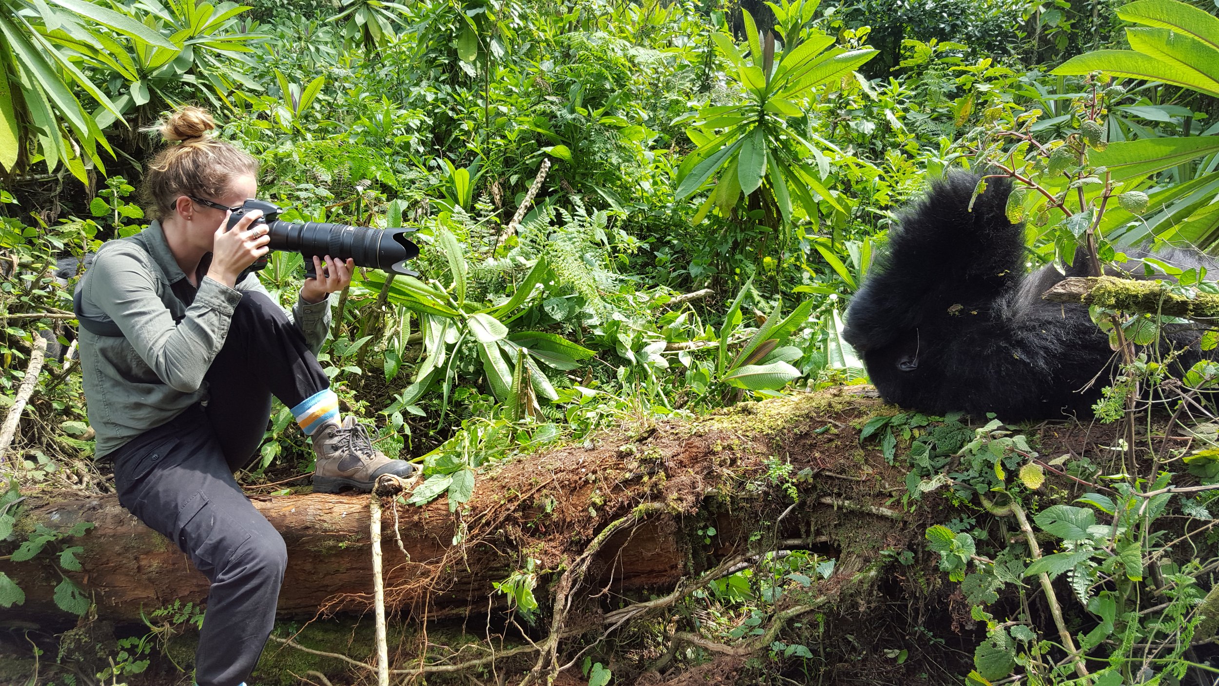 Gorilla trekking safari, Rwanda